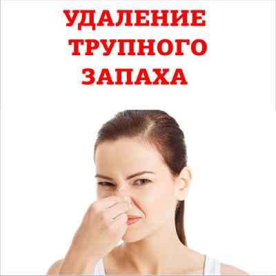 Трупный запах в квартире – как убрать? фото